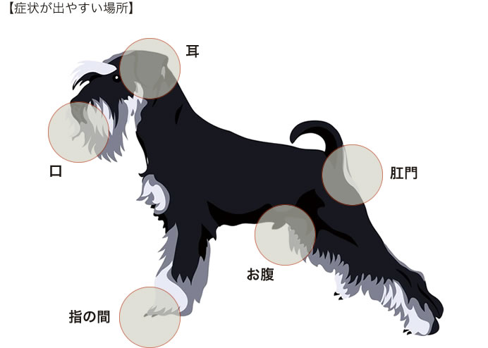 症状が出やすい場所の図